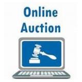 Welcome To The Auction - Please Read!