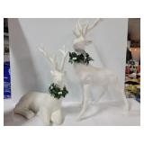 Beautiful White Reindeers (2)