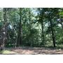 Beautiful 5.359 Wooded Rolling Acres!