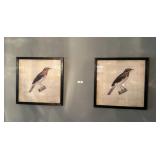 2 Framed Bird Prints