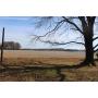 HOME & 109+/- ACRES on OLD STATE RD in EVANSVILLE, IN