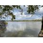 41.9 Wooded Acres on Pitcher Lake in Mt Vernon, IN