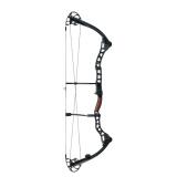 Elite XLR Compound Bow