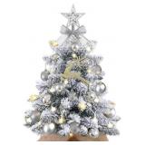 Mini Christmas Tree with Lights,24In/2ft Snow Floc