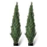 Set of 2 Pre-Potted 5 Feet Faux Cedar Tree, Lifeli