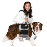 Dog Lift Harness for Large Dogs,Full Body Dog Slin