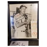 Stan Musial Autographed Baseball Picture