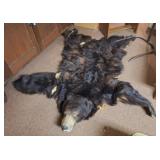 Bear Skin Rug, Folding Stand, Bench