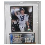 Payton Manning Superbowl XLI USPS Licensed wit 39