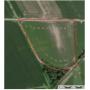 250225 - Jackson County & Union County, IL Land Auction