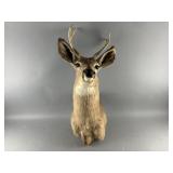 Deer Head Wall Mount