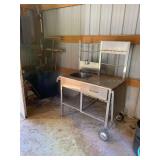 ROLLING SINK WITH CABINET IN SHOP