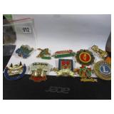 Lions club collector pins