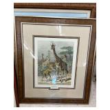 Giraffe framed print