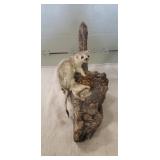 (1) Stoat Ermine Mount (15"ï¿½6"ï¿½7")