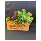 Faux Succulant Garden in wood container