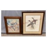 Buck Deer & American Pintail Framed Art Prints