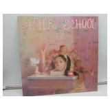 Melanie Martinez After School Vinyl