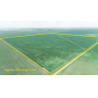 November 8, 2023 @10:30 A.M.--Live Public Auction Of 155.55+/- Acres Of Farmland In Springfield TWP, Bon Homme County, SD!