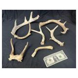 Lot of Deer Antlers