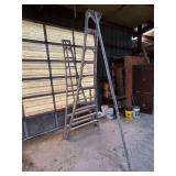 Aluminum orchard ladder