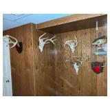 5 deer mounts