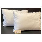 Two Indulgence By Isotonic Poly Fiber Pillows, 28"X20"