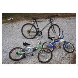 Adult Bicycle and (2) Children