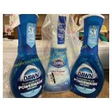 2ct Dawn platinum plus, Clorox bathroom