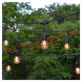 LivingAccents 18ï¿½ Edison Style Patio Lights