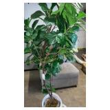 Threshold artificial fig tree