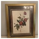 Vintage Flowers Pierre-Joseph Redoutï¿½ Framed Print