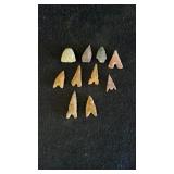 Arrowheads in speciman box