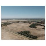 247 +/- Acres of Prime Agricultural and Recreational Land in Baker County, GA 