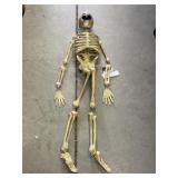 Hanging Skeleton