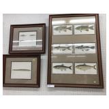 (3) Framed Prints of FIsh