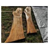 2 Live Edge Elm Slabs