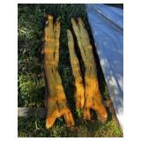 3 Live Edge Mulberry Slabs