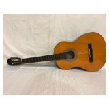 Lucida Acoustic Guitar