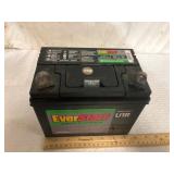 EverStart Lawn & Garden Battery