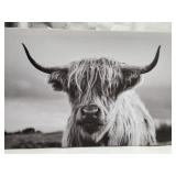 Highland Cow Wall Art Canvas 16"x24"