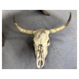 Animal Skull 24"X18"