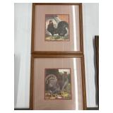 2 Framed Chicken Pictures