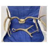 2 Pcs - Deer Antlers