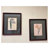 Pair of Framed Floral Pictures