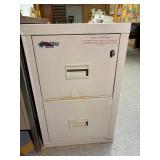 2 Drawer Filing Cabinet