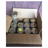 Golden Harvest Jelly Jars 12 8oz