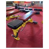 Star Trac Multi Adjustable Bench