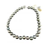 GIA CERTIFIED STRAND OF CULTURED TAHITIAN PEARL