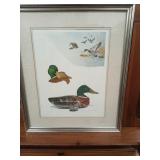 1976 Duck Decoy Print by James P. Fisher 131/450